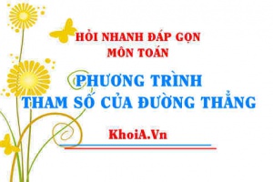 Phương trình tham số của đường thẳng trong không gian Oxyz lớp 12? Hỏi nhanh đáp gọn môn Toán
